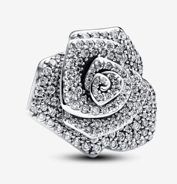 Charm Rosa Grande Brillante Floreciendo