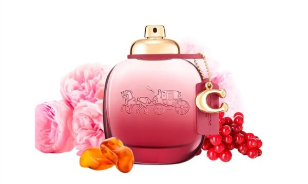 Coach Wild Rose Eau De Parfum 50 ML - Imagen 3